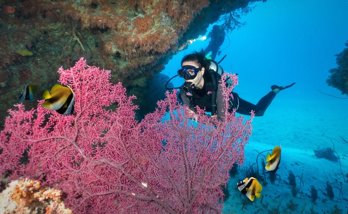Andaman Island Escape – 6 Days / 5 Nights