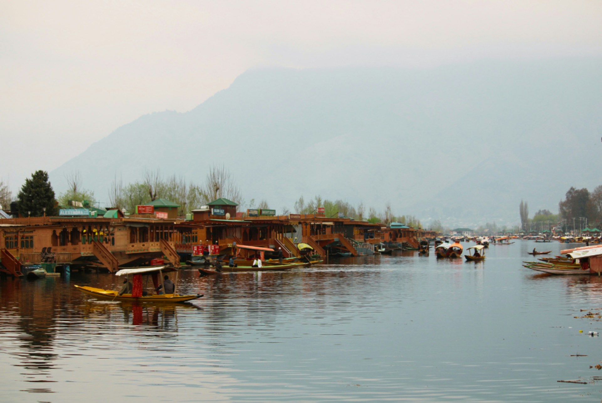 Kashmir Paradise