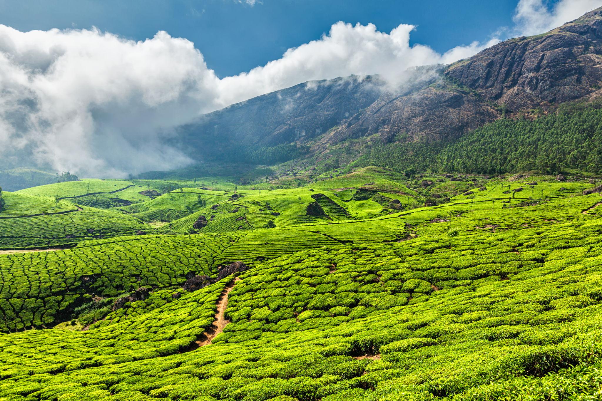 Kerala Classic Retreat